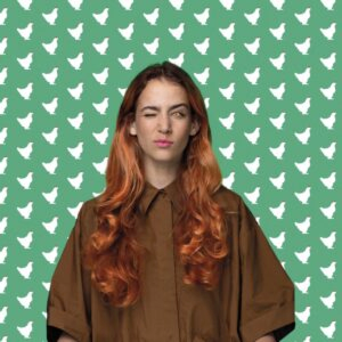 Nederlandse Reisopera